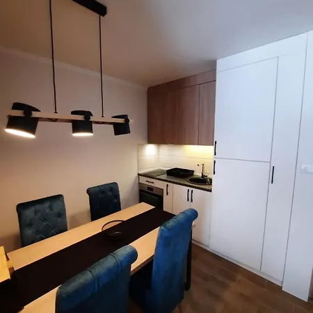 Apartament Radmila Kopaonik